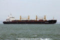 JPO Delphinus (MS-080814-08).jpg
