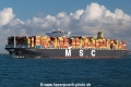 MSC Margrit SH-030219-01.jpg