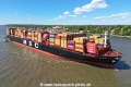 MSC Olivia (KB-D260425-01).jpg