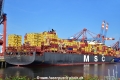 MSC Natasha XIII (KB-D200724-01).jpg