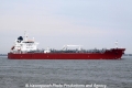 STI Beryl (JS-190613-07).jpg