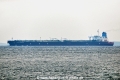 Maran Canopus OS-261018-01.jpg