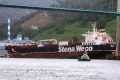 Stenaweco Caterina Corrado (MS-120815-03).jpg
