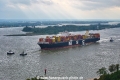 MSC Regulus 111023-03.jpg