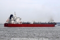 STI Beryl (JS-190613-17).jpg