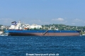 Maran Morpheus (OK-260826-4).jpg