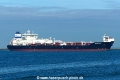 Maran Wave (MB-151026-4).jpg
