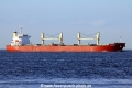 K Brave (MS-300716-06).jpg