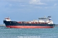 Maran Wind (KB-D180926-04).jpg