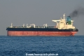 Sea Pearl OS-011125-28.jpg
