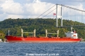 King M (OK-080923-2).jpg