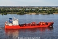 NQ Bellis 290424-5.jpg
