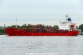 NQ Tulipa (OK-231022-0).jpg