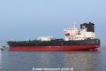 STI Miracle (OK-250422-9).jpg