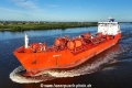NQ Bellis KH-200624-5.jpg