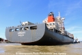 Longavi RV-070812-07.jpg
