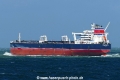 Seajewel (MB-300326-6).jpg
