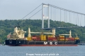 MSC Silver 2 (OK-150823-4).jpg