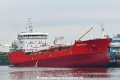 NQ Freesia (KB-D180823-01).jpg