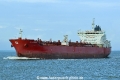 STI Hackney HK-130816-1.jpg