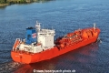 NQ Bellis 290424-7.jpg
