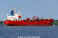 NQ Tulipa KH-210623-8.jpg