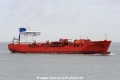 NQ Bellis JG-220324-2.jpg