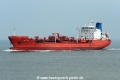 NQ Acacia JG-310324-2.jpg