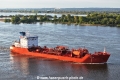 NQ Bellis 290424-3.jpg