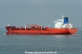NQ Acacia JG-310324-3.jpg