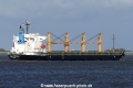King Cotton (KK-170415-1).jpg