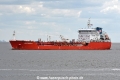 NQ Freesia JG-080525-1.jpg