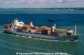 MSC Normandie (MS-K000103).jpg