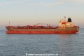 Opec Fortune (OK-100621-5).jpg