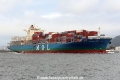 MOL Gratitude RV-081212-01.jpg