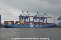 MOL Maestro (KB-D010910-04).jpg