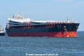 Ocean Lucky JG-020826-2.jpg