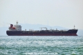 Ocean Gar OS-101019-02.jpg
