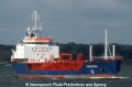 Oderstern (K240393-3).jpg