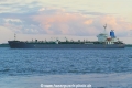 Sugar (OK-050822-1).jpg