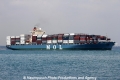 MOL Garland (MS-201012-05).jpg