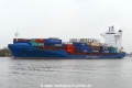 Spica J (OK-241117-0).jpg
