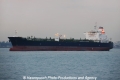 T. Suna OS-161212-01.jpg