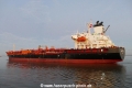 Opec Victory (MB-050923-3).jpg