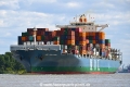 MOL Gratitude 140519-02.jpg