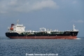 Ocean Seal OS-161018-01.jpg