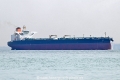 Olympic Laurel OS-181125-01.jpg