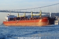 Kiran Australia (OK-050214-0).jpg