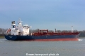 Tarantella (MM-121114-2).jpg
