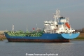 Terry (OK-250214-0).jpg
